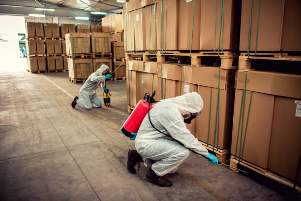 Best Pest Control for Businesses  in Valencia, NM
