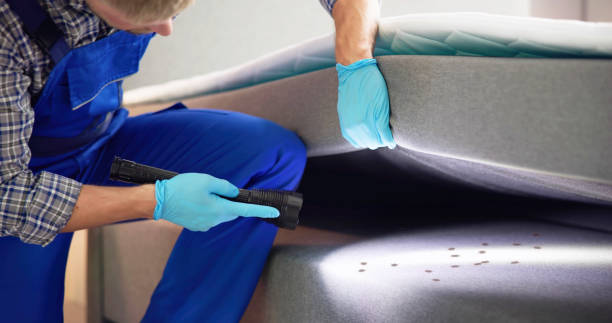 Best Best Pest Control Companies  in Valencia, NM