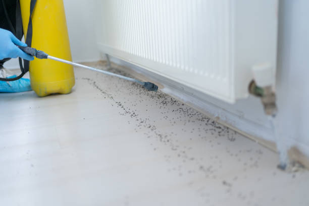 Best Cockroach Control Services  in Valencia, NM