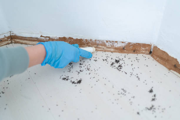 Best Residential Pest Control  in Valencia, NM